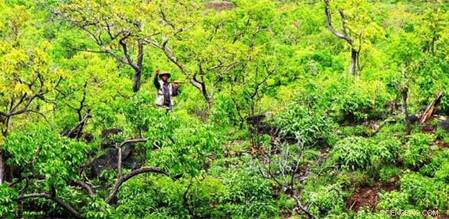 Central African Shield Amalgamation: The Formation of Earth s Next Supercontinent