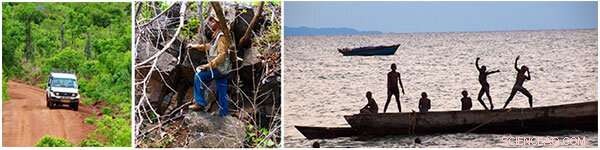 Central African Shield Amalgamation: The Formation of Earth s Next Supercontinent