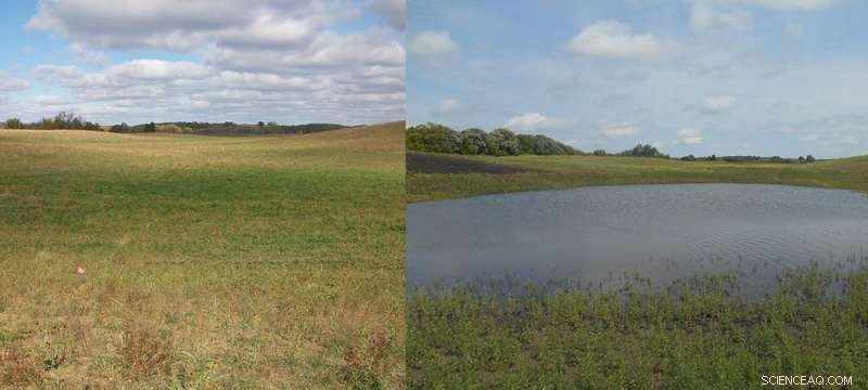 How Climate‑Smart Farming Boosts Soil Health and Farmer Income