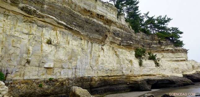 Flare-Ups and Crustal Removal: Insights into Northeast Japan s Geological Evolution