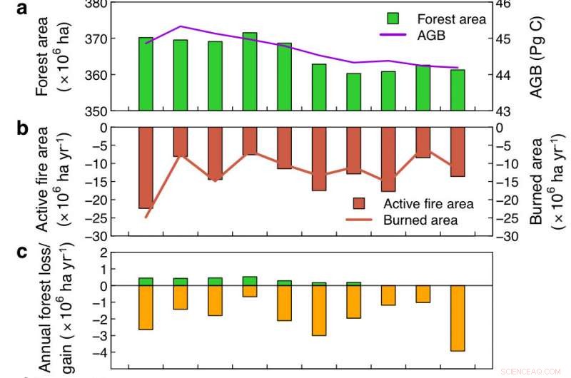 New Study Reveals Key Factors Behind Forest Loss and Degradation in the Brazilian Amazon