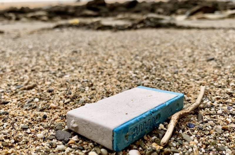 Tracing Plastic Cargo: How a Lost Shipping Container Spread From Florida to Norway