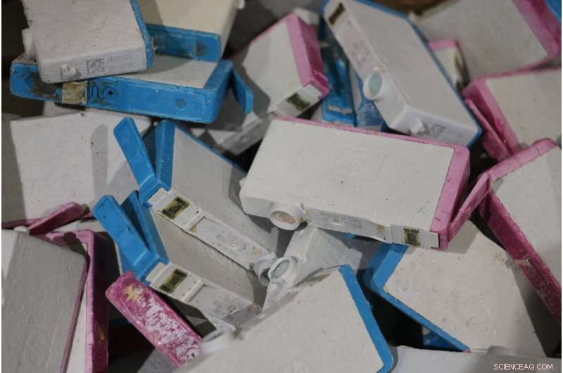 Tracing Plastic Cargo: How a Lost Shipping Container Spread From Florida to Norway