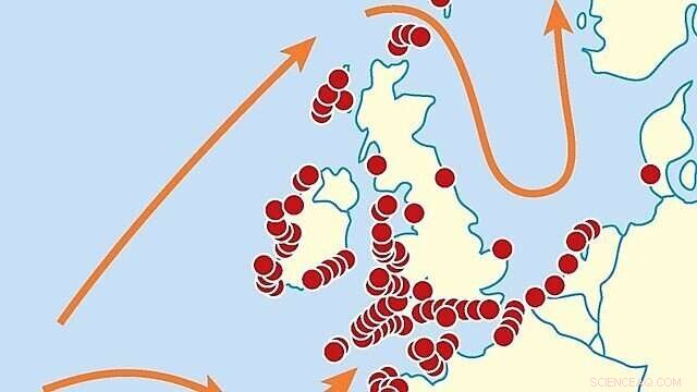 Tracing Plastic Cargo: How a Lost Shipping Container Spread From Florida to Norway