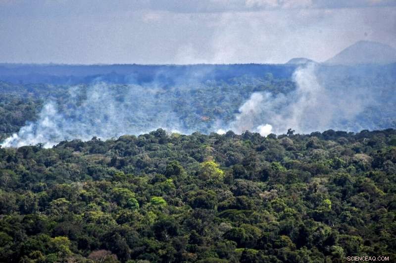 Amazon’s Shift: From Climate Ally to Carbon Source in the Face of Deforestation