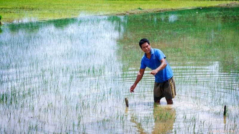 Incorporating Human Behavior Is Essential for Accurate Climate Change Impact Studies