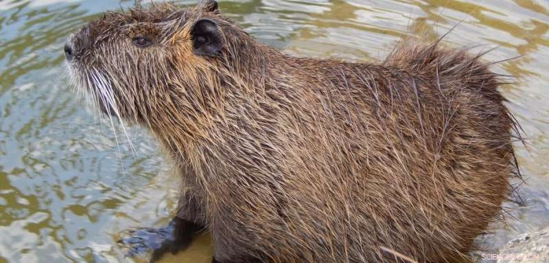 Nature: A Collaborative Partner, Not Just a Service Provider