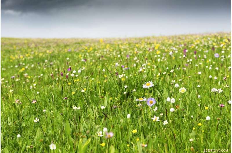 California Could Secure 600,000 Acres of New Federally Protected Wilderness