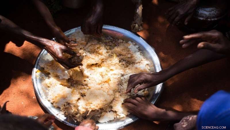 New Dietary Pyramid Aims to Reduce Disease Risk and Climate Impact