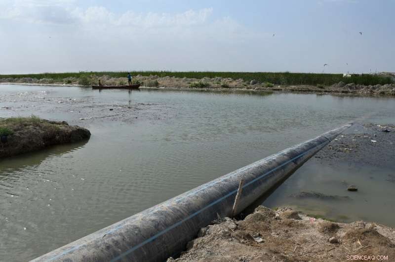 Iraq s Ancient Mesopotamian Marshes Threatened by Sewage and Pollution