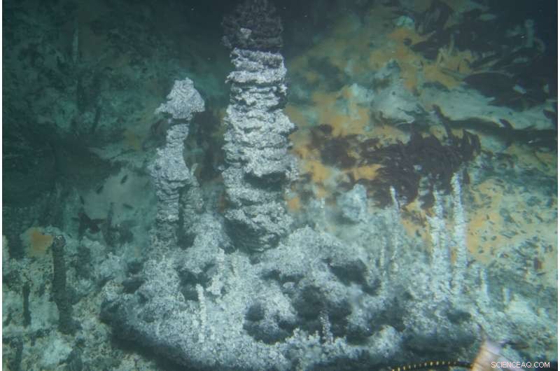 Scientists Resolve the Methane Isotope Paradox on the Seafloor