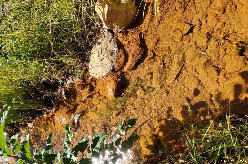 Long-Term Monitoring Confirms Successful Restoration of Mining-Impacted Streams