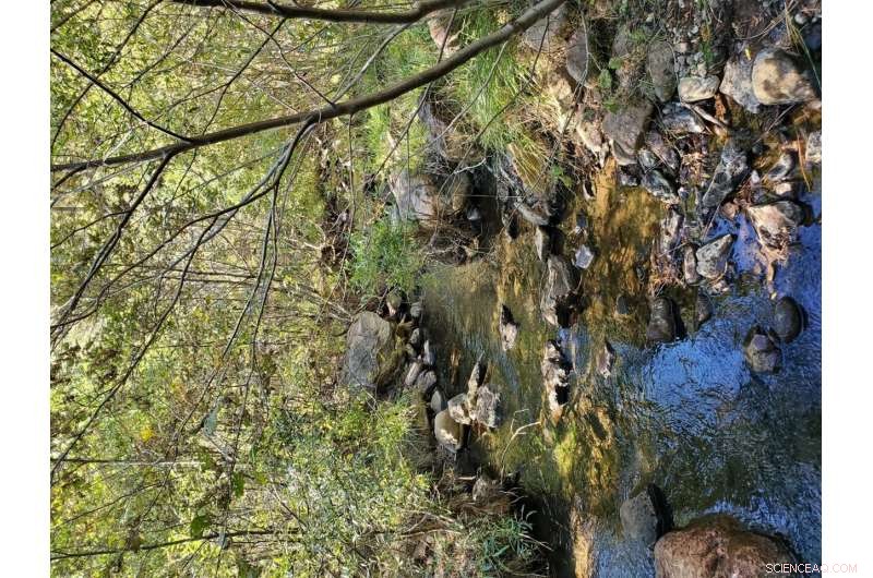 Long-Term Monitoring Confirms Successful Restoration of Mining-Impacted Streams