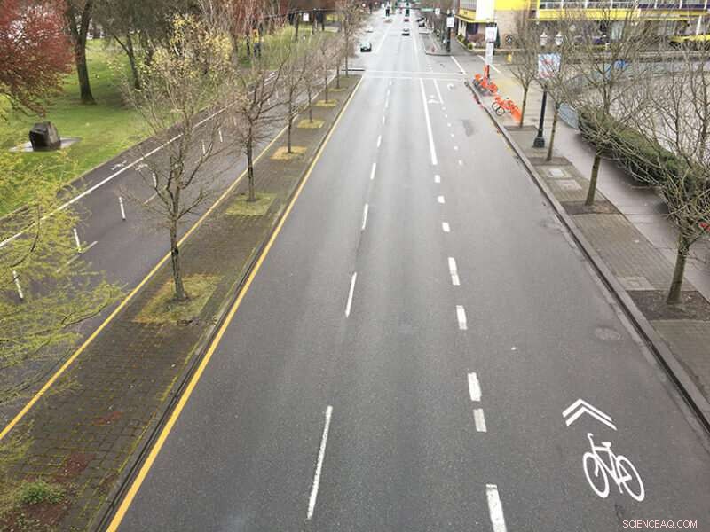 Did the COVID Emission Drop Impact Climate? Analyzing the Effects