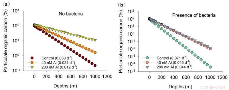 How Aluminum Enhances Ocean Carbon Sinks and Mitigates Climate Change
