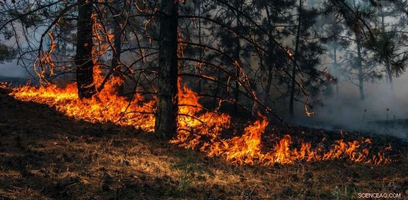 Climate Change Unchecked: The Dire Future We Face Without Action