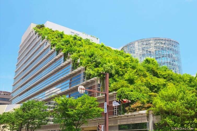 Climate Change Unchecked: The Dire Future We Face Without Action