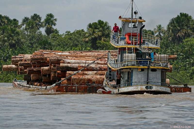 Brazilian Amazon Deforestation Reaches Record Levels in April