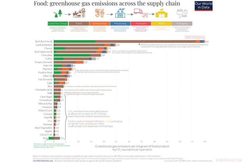 Imported Vegetables Outperform Local Meat in Sustainability—Key Insights