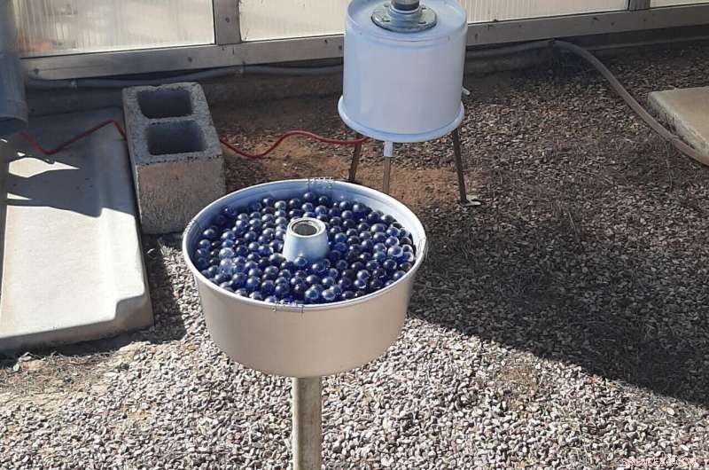 Dust Storms & Valley Fever: Protecting Public Health in the American West