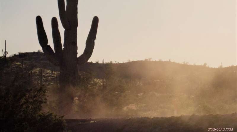 Dust Storms & Valley Fever: Protecting Public Health in the American West