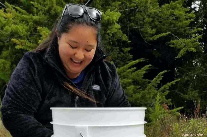 How Volcanic Eruptions and Hurricanes Shape Hawaii Island’s Rainfall Patterns