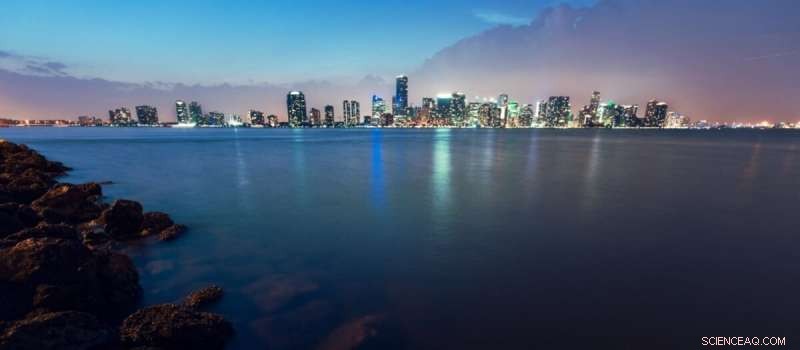 Scientists Lead Effort to Rejuvenate Biscayne Bay