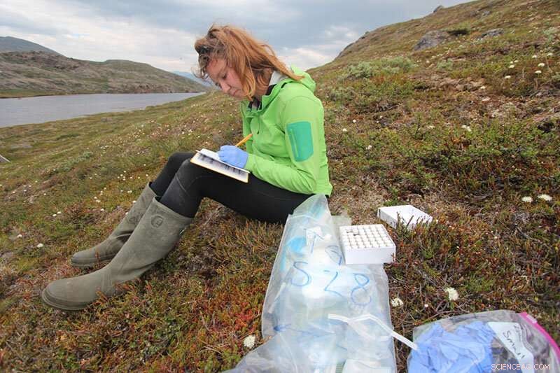 Ancient Greenland Summers Revealed by Ocean-Bottom Sediment Analysis