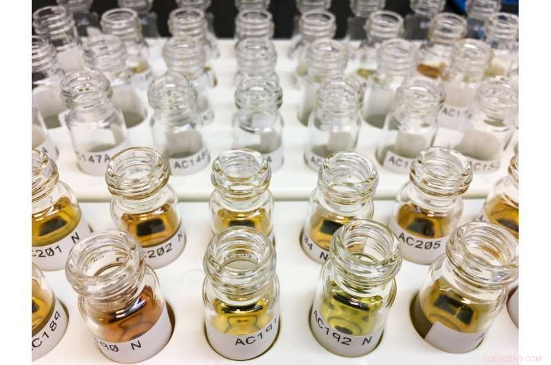 Ancient Greenland Summers Revealed by Ocean-Bottom Sediment Analysis