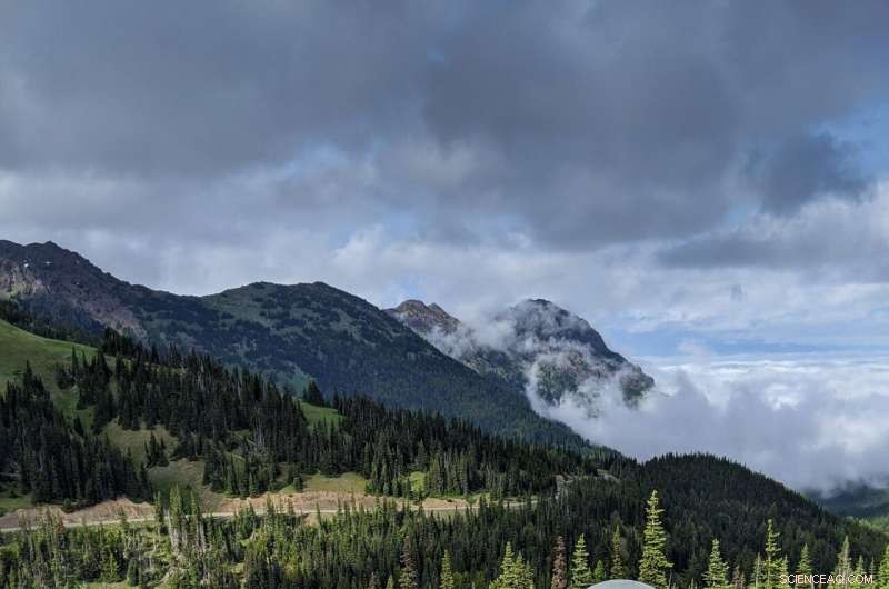 Global Satellite System Enhances Earthquake and Tsunami Monitoring