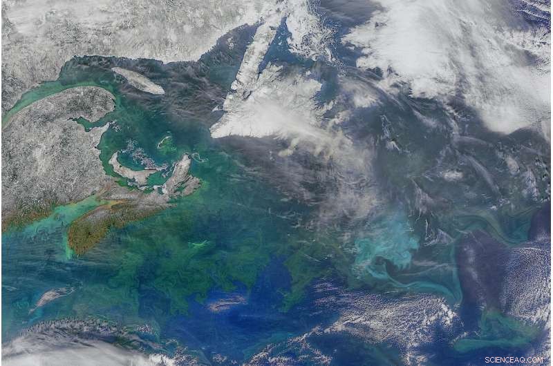Tracing Carbon Pathways from Surface Waters to the Ocean s Twilight Zone