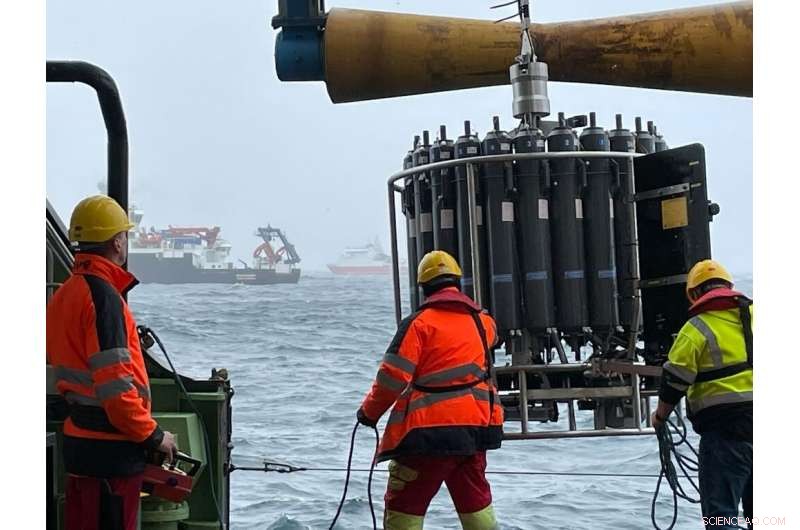 Tracing Carbon Pathways from Surface Waters to the Ocean s Twilight Zone