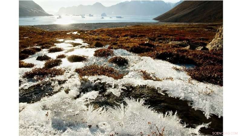 Argonne Scientists Decode Carbon Release Mysteries in Permafrost Soils