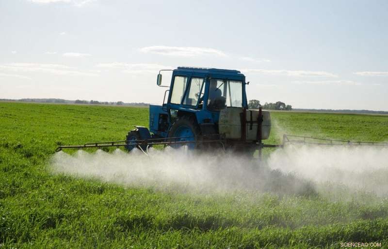 Karst Groundwater: Elevated Contamination Risks Demand Urgent Attention