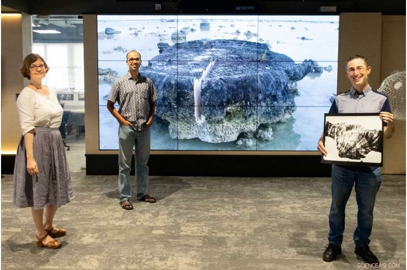 Indonesian Coral Study Reveals Earth s Slowest Recorded Earthquake