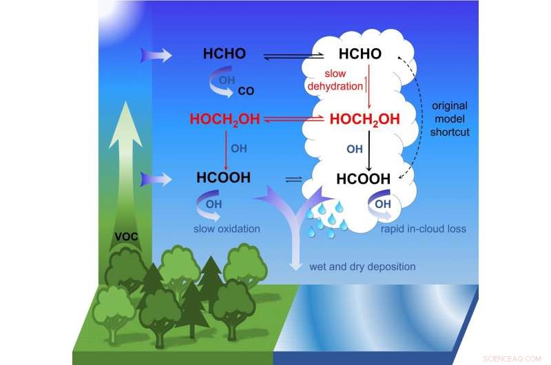 Unveiling Atmospheric Formation of Organic Acids: Mechanisms and Implications