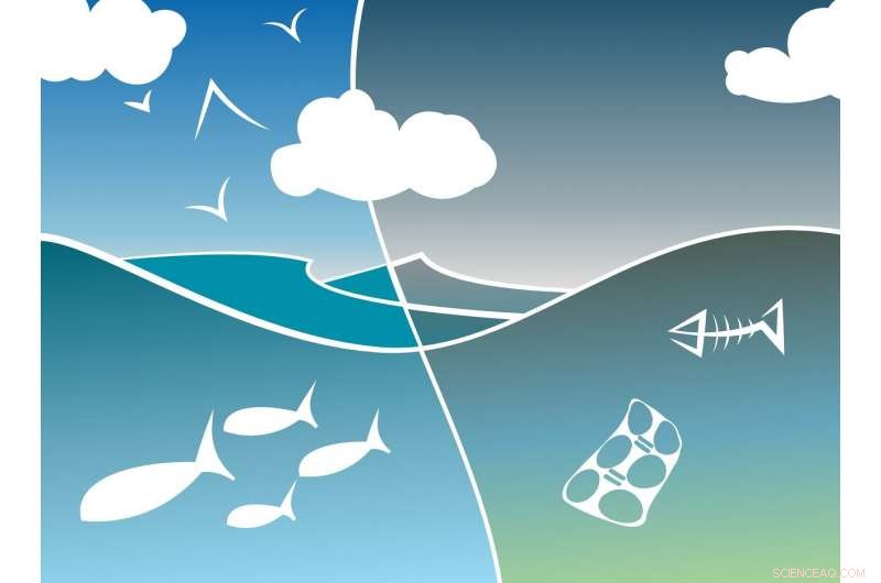 How Balanced Ecosystems Maximize Water Efficiency