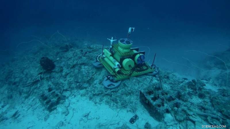 USGS Researchers Uncover Secrets Behind Hurricane Intensification