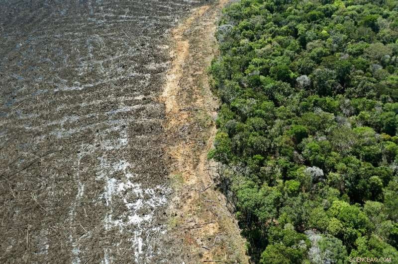 Brazil Faces Strong Opposition Over Bill Easing Environmental Protections