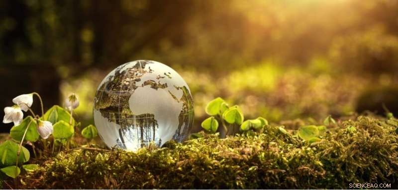 Nature-Based Solutions: Long-Term Climate Change Mitigation Proven by Oxford Research