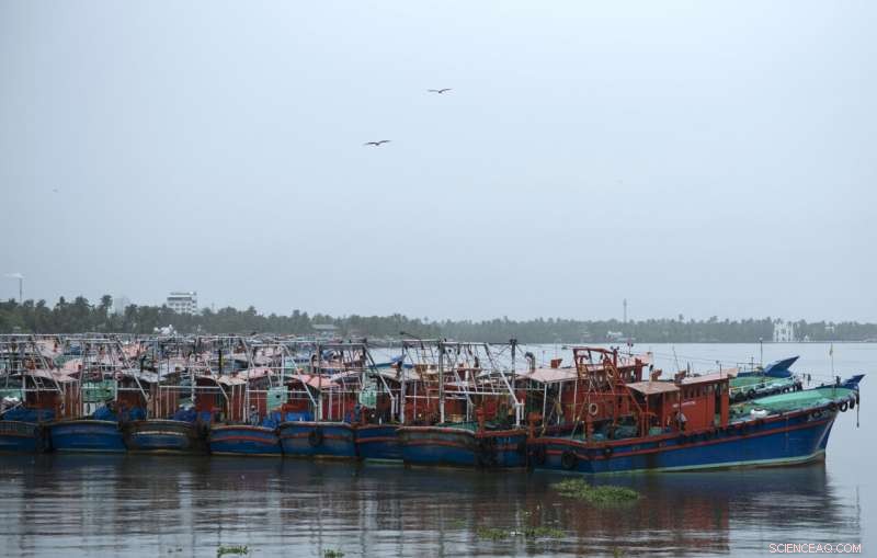 India Prepares for Strong Cyclone Amid Rising COVID-19 Deaths