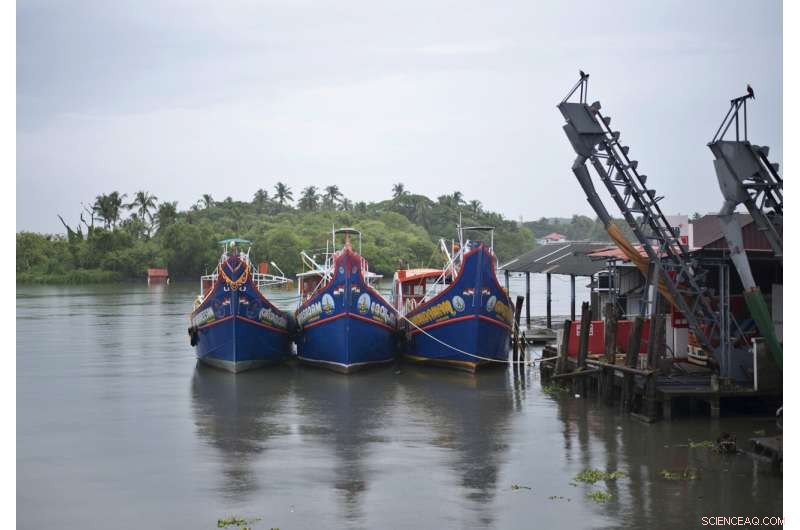 India Prepares for Strong Cyclone Amid Rising COVID-19 Deaths
