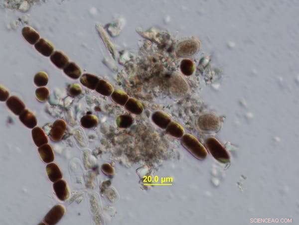 Inside Glacial Revolution: How Science Transformed Our Understanding of Ice