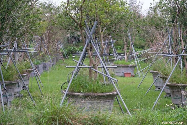 How Observing Eco-Farmers Drives Sustainable IT Innovation