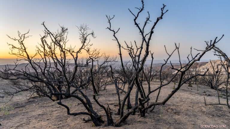 How Greenhouse Gases and Aerosols Amplify Drought Duration and Intensity
