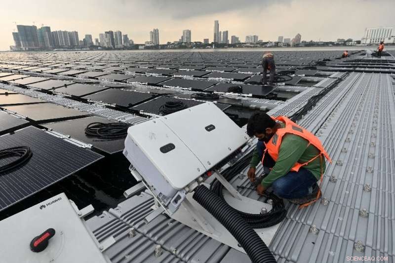 IEA Urges Elimination of New Fossil Fuel Projects to Achieve Net‑Zero Emissions