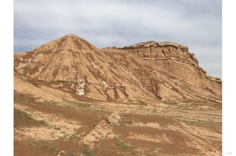 Scientists Uncover 10 Million Years of Climate History in the Arabian Peninsula