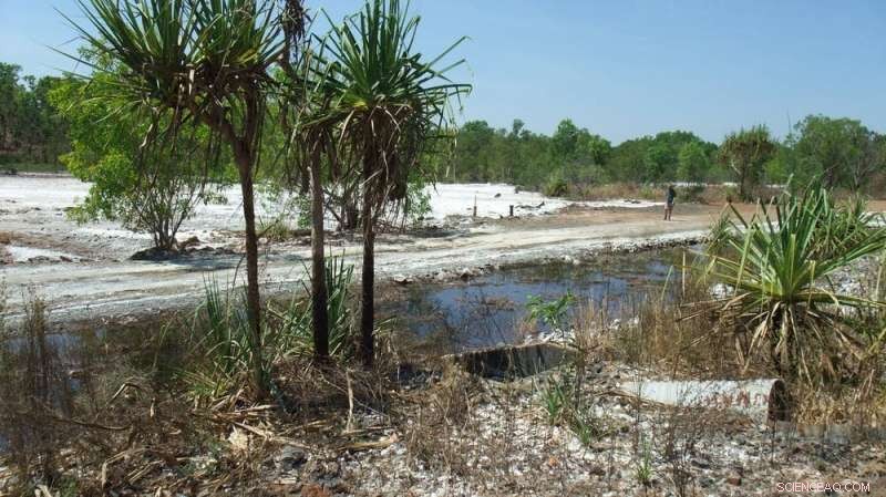 Rum Jungle: The Cold War Uranium Mine s Long-Term Environmental Impact