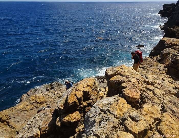 South American Fauna Reaches the Antilles: The Role of Giant Sunken Islands as a Natural Bridge
