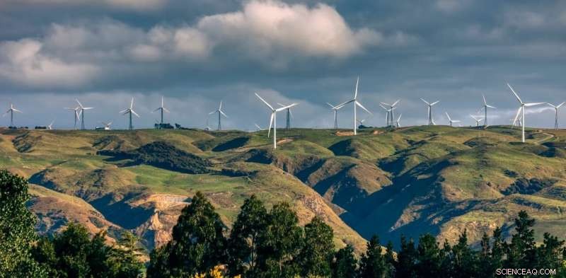 How Public Opinion Shapes Climate Policy